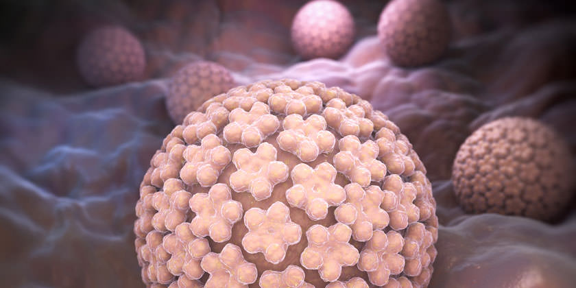 interior del útero con tumores